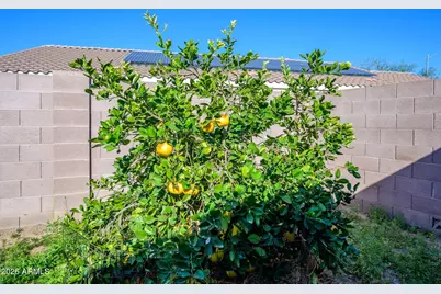 3508 S 160th Lane, Goodyear, AZ 85338 - Photo 27