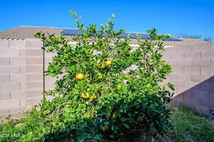 3508 S 160th Ln, Goodyear, AZ 85338 - Photo 27