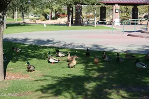 3448 W Webster Ct, Anthem, AZ 85086 - Photo 33