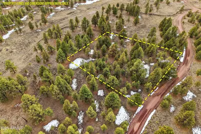 20 County Road N 1332 -- #37, Greer, AZ 85927 - Photo 1
