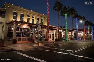 2120 E Geronimo St, Chandler, AZ 85225 - Photo 45