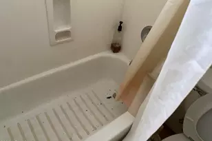 407 E Honda Bow Rd, Phoenix, AZ 85086 - Photo 49