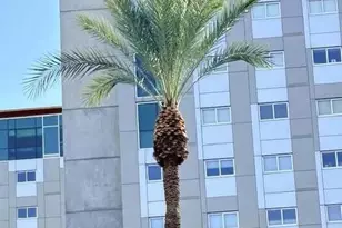 100 E Fillmore St, Phoenix, AZ 85004 - Photo 21