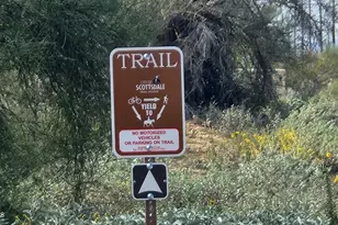 7050 E Carriage Trails Dr, Scottsdale, AZ 85266 - Photo 45