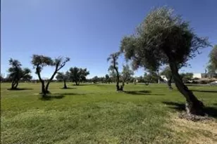 4139 N 27th St, Phoenix, AZ 85016 - Photo 27