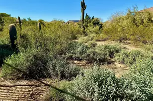 2630 W Sat Nam Way, Phoenix, AZ 85086 - Photo 25