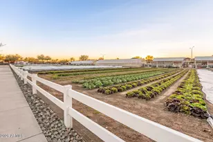 4162 S Zephyr, Mesa, AZ 85212 - Photo 81