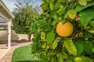 18145 W Buena Vista Dr, Surprise, AZ 85374 - Photo 15