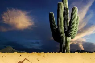 12731 W Eagle Ridge Ln, Peoria, AZ 85383 - Photo 83