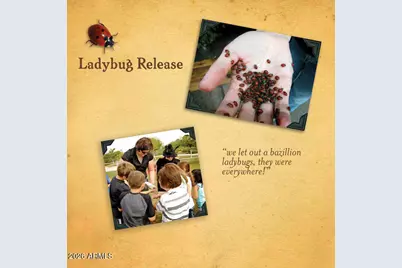 12731 W Eagle Ridge Lane, Peoria, AZ 85383 - Photo 75