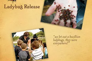 12731 W Eagle Ridge Ln, Peoria, AZ 85383 - Photo 75