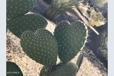 39402 N Spur Cross Road, Cave Creek, AZ 85331 - Photo 29