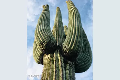 39402 N Spur Cross Road, Cave Creek, AZ 85331 - Photo 27