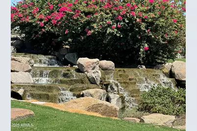 3956 S Hollyhock Place, Chandler, AZ 85248 - Photo 39