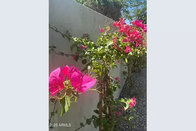 3956 S Hollyhock Place, Chandler, AZ 85248 - Photo 51