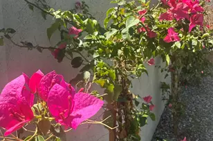 3956 S Hollyhock Pl, Chandler, AZ 85248 - Photo 51