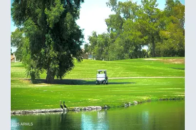 3956 S Hollyhock Place, Chandler, AZ 85248 - Photo 43