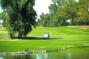 3956 S Hollyhock Pl, Chandler, AZ 85248 - Photo 43