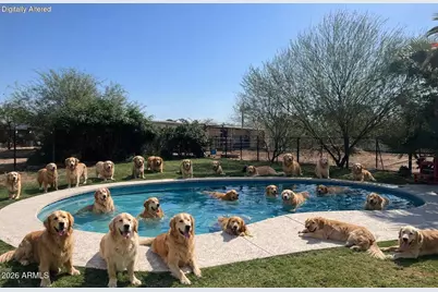 12423 N 64th Street, Scottsdale, AZ 85254 - Photo 5