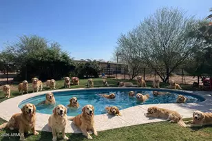 12423 N 64th St, Scottsdale, AZ 85254 - Photo 5