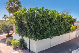 6330 E Catalina Dr, Scottsdale, AZ 85251 - Photo 5