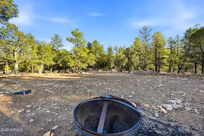 2225 Roundabout Way, Overgaard, AZ 85933 - Photo 23