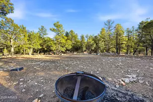 2225 Roundabout Way, Overgaard, AZ 85933 - Photo 23