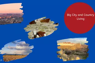 19221 N Sombrero Circle, Sun City, AZ 85373 - Photo 5