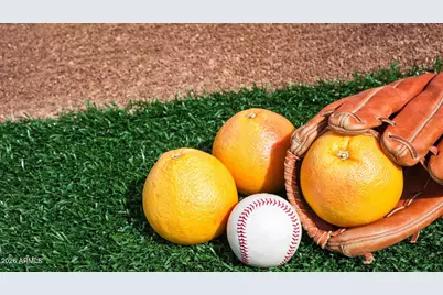 19221 N Sombrero Circle, Sun City, AZ 85373 - Photo 39