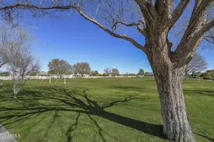 21102 E Pummelos Rd, Queen Creek, AZ 85142 - Photo 75