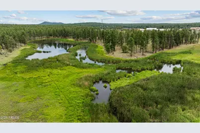 1261 W Big Springs Trail, Lakeside, AZ 85929 - Photo 53