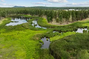 1261 W Big Springs Trail, Lakeside, AZ 85929 - Photo 53