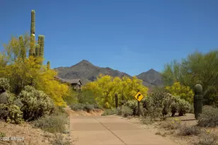 20405 N 95th Pl, Scottsdale, AZ 85255 - Photo 29