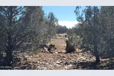 861 W2 Cable Road #-, Williams, AZ 86046 - Photo 5
