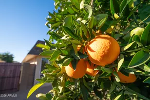 10004 W Pleasant Valley Rd, Sun City, AZ 85351 - Photo 45