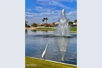 24508 S Lakeway Circle SW, Sun Lakes, AZ 85248 - Photo 61