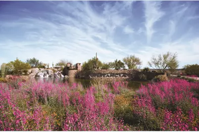 12481 W Milton Drive, Peoria, AZ 85383 - Photo 59