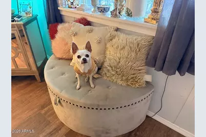 9427 E University Drive #49, Mesa, AZ 85207 - Photo 17