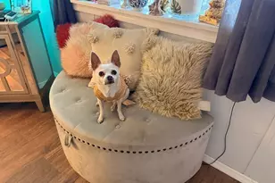 9427 E University Dr, Mesa, AZ 85207 - Photo 17