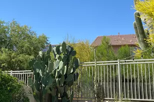 4750 E Preserve Way, Cave Creek, AZ 85331 - Photo 39