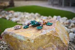 4387 W Ruby Dr, Eloy, AZ 85131 - Photo 37