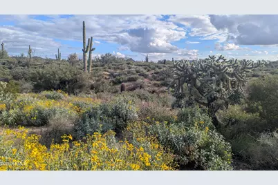 9432 E Quail Trail, Carefree, AZ 85377 - Photo 41