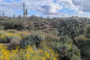 9432 E Quail Trail, Carefree, AZ 85377 - Photo 41