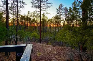 764 W Cooley Ln, Lakeside, AZ 85929 - Photo 3