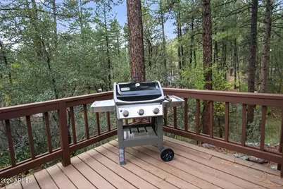 8884 W Tonto Rim Drive, Pine, AZ 85544 - Photo 43