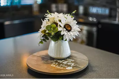 1849 W Calle Del Norte --, Chandler, AZ 85224 - Photo 9