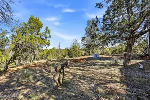 3580 Power Line Dr, Overgaard, AZ 85933 - Photo 23