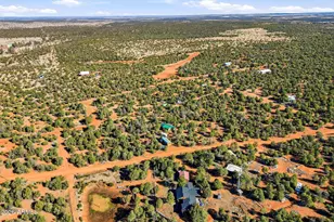 3580 Power Line Dr, Overgaard, AZ 85933 - Photo 29