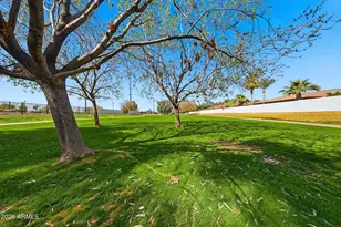 4149 N 49th Way, Phoenix, AZ 85018 - Photo 23