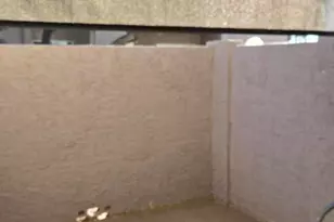 623 W Guadalupe Rd, Mesa, AZ 85210 - Photo 7